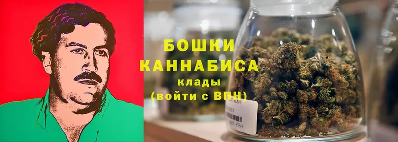 Конопля White Widow  нарко площадка Telegram  Канаш 